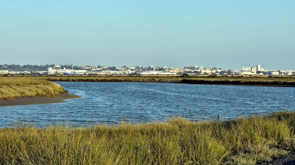 Marismas actuales del Odiel, con Huelva al fondo. Fotografía del paisaje contemporáneo: las orillas y desembocaduras de la Edad del Hierro eran diferentes.